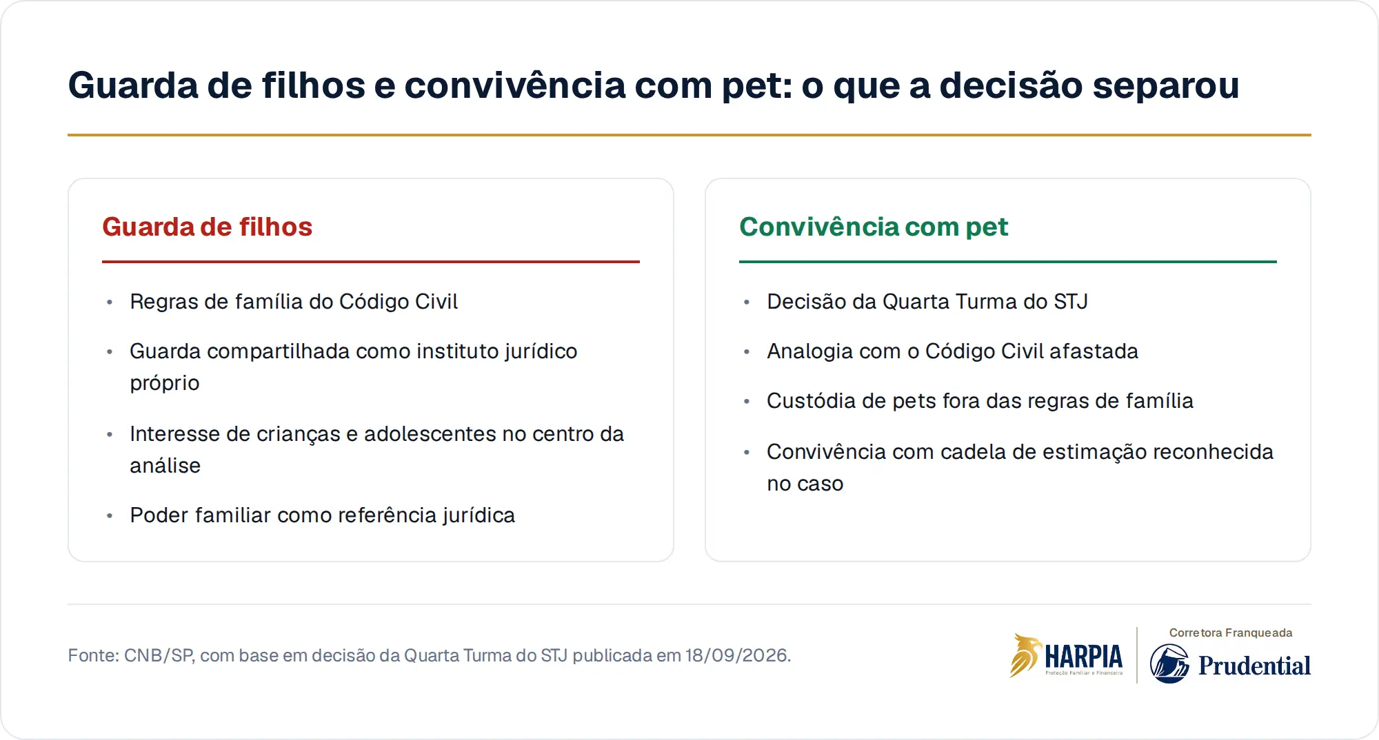 Guarda de filhos e convivência com pet: o que a decisão separou
