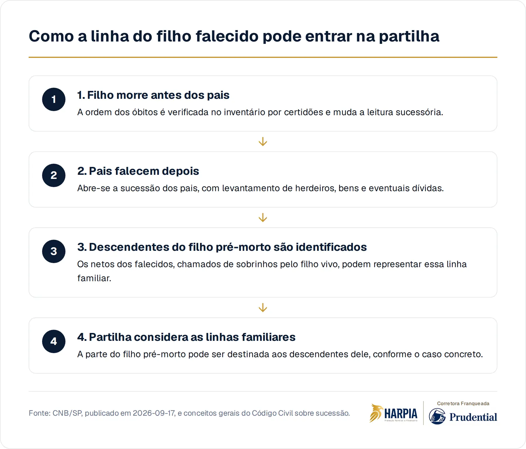 Como a linha do filho falecido pode entrar na partilha